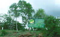 ミャンマー第1「緑の地球の森」プロジェクト